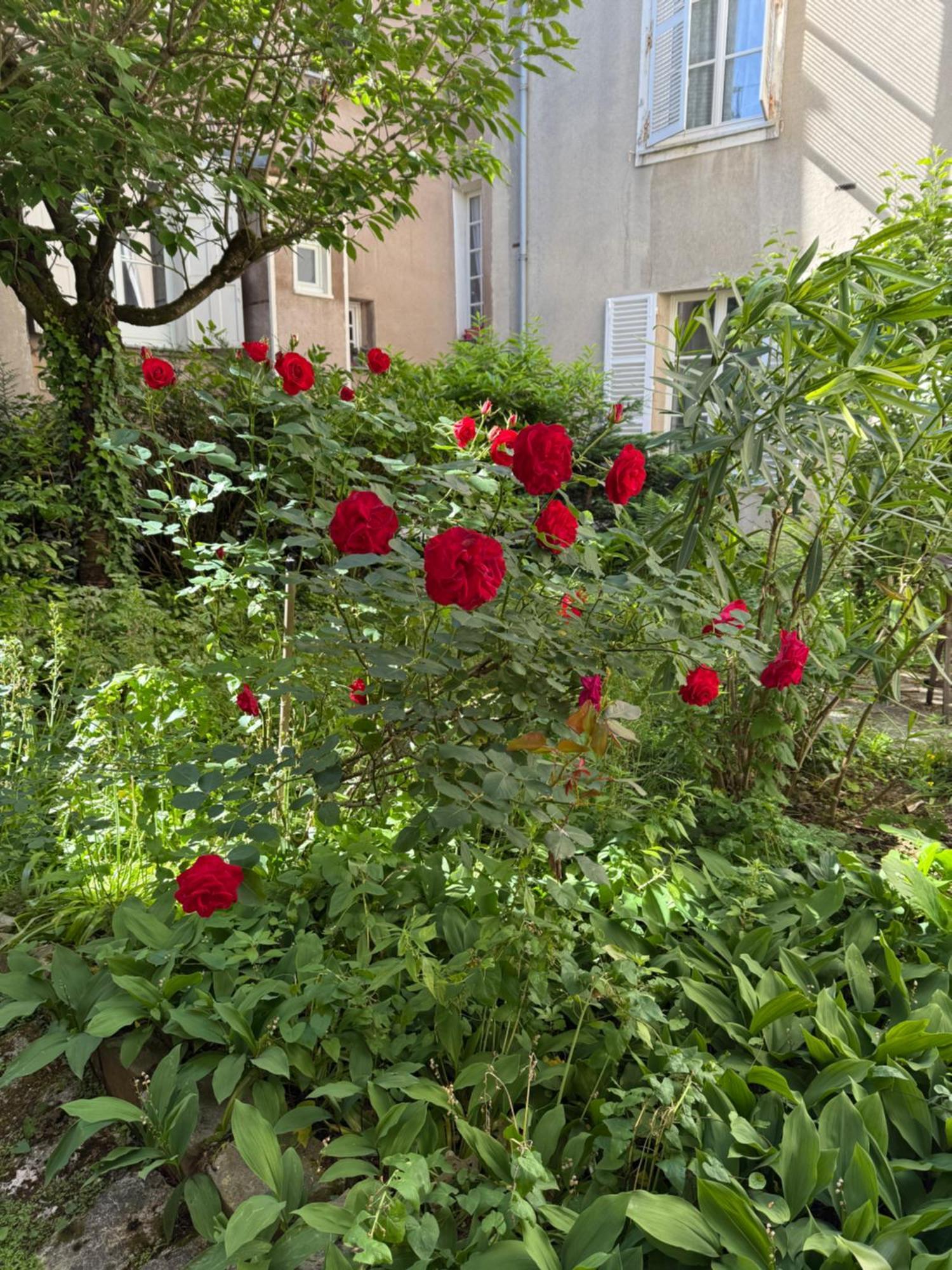 Couette-café Jardinet Du Cloitre Chartres